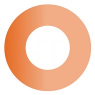 Bunion Ring - 72 pieces 